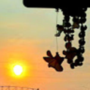 Meet your Posher, Rena